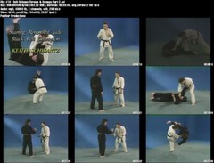 Judo: Beginner to Black Belt starring Keith Schwartz (17 DVD Set)