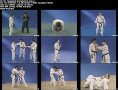 Judo: Beginner to Black Belt starring Keith Schwartz (17 DVD Set)