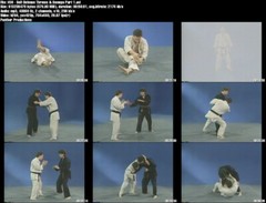 Judo: Beginner to Black Belt starring Keith Schwartz (17 DVD Set)